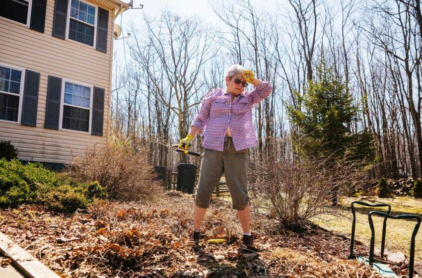  Backyard Clean Up: How I Transformed my Messy Yard in Just One Weekend